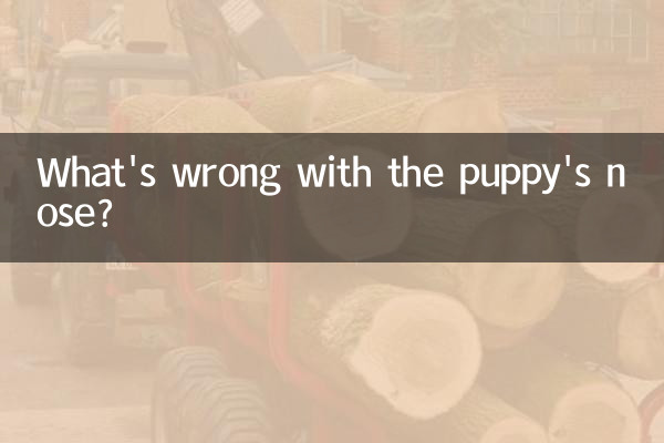 কুকুরছানা এর নাকে কি সমস্যা?