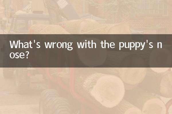 কুকুরছানা এর নাকে কি সমস্যা?