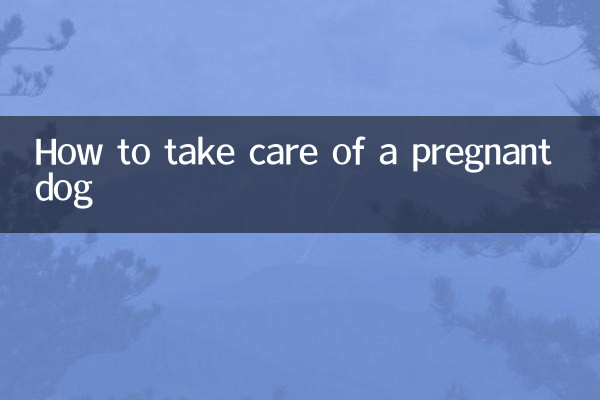 Cómo cuidar a una perra preñada