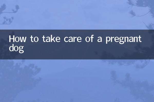 गर्भवती कुत्ते की देखभाल कैसे करें?