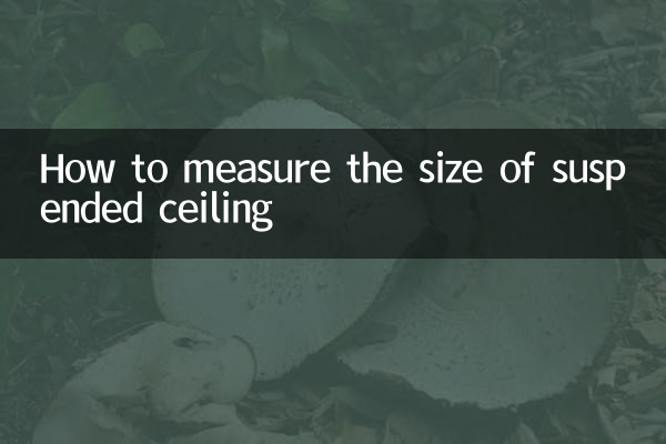 Cómo medir el tamaño del techo suspendido