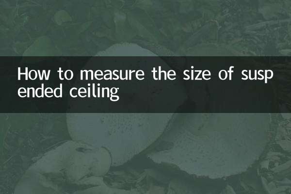 Cómo medir el tamaño del techo suspendido