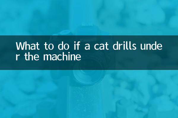 Que faire si un chat perce sous la machine