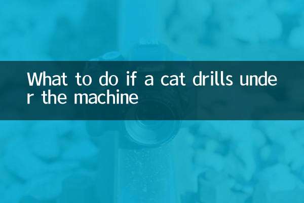 अगर बिल्ली मशीन के नीचे ड्रिल कर दे तो क्या करें?