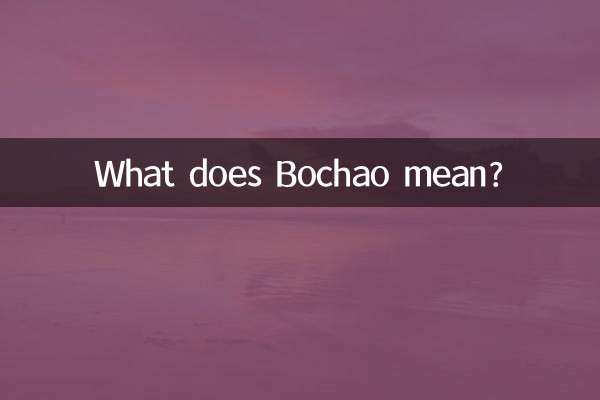 보차오은 무슨 뜻인가요?