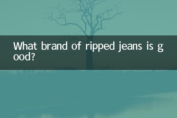 Quale marca di jeans strappati è buona?