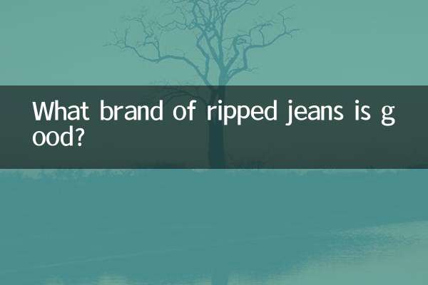 Quale marca di jeans strappati è buona?