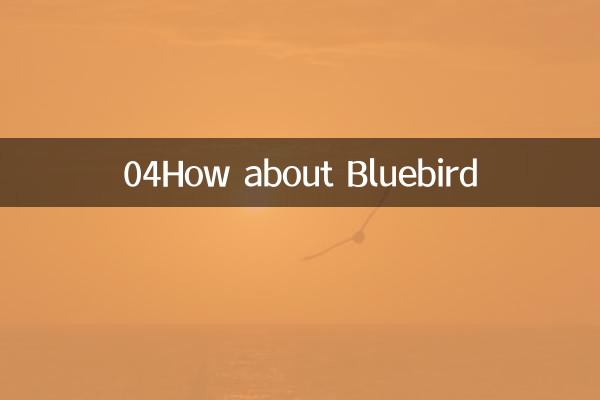 04Как насчет Блюберд