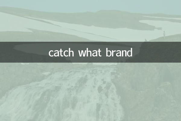 어떤 브랜드를 잡아라