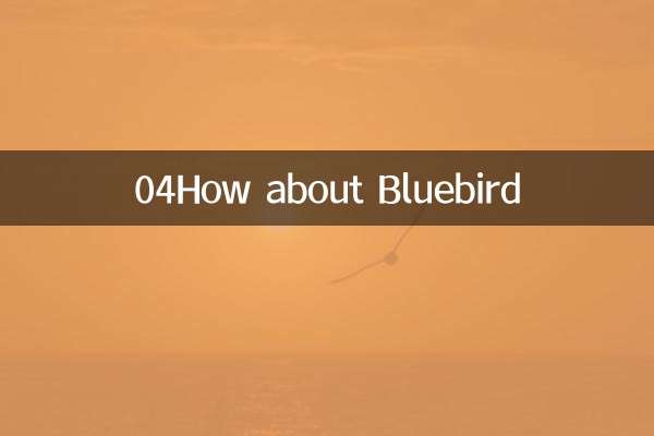 04블루버드는 어떤가요?