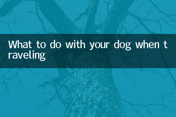 出門旅遊狗狗怎麼辦
