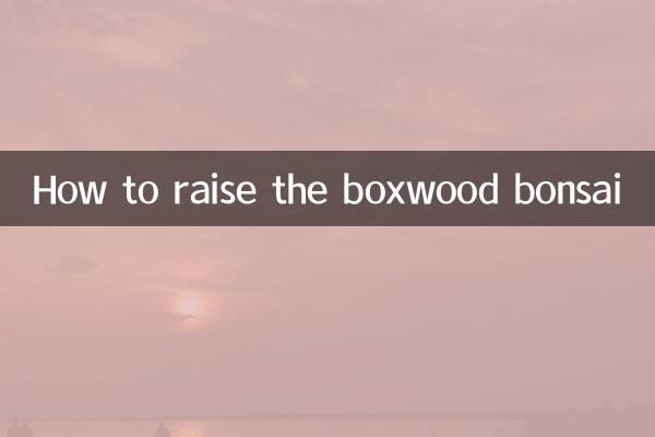 Como cultivar o bonsai de buxo