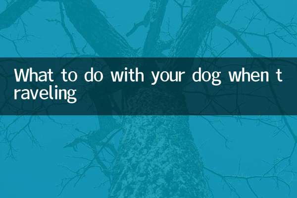 O que fazer com seu cachorro durante uma viagem