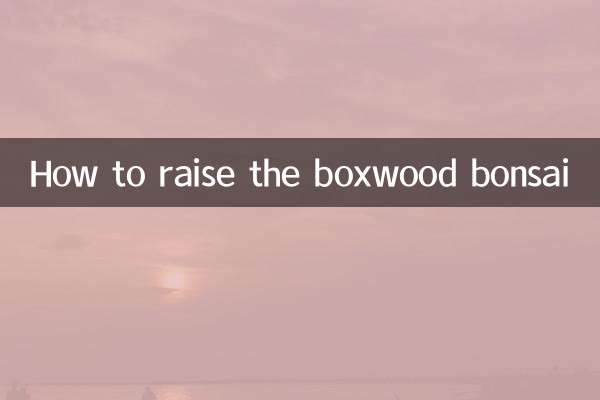 बॉक्सवुड बोन्साई कैसे बढ़ाएं