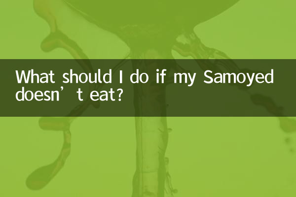 O que devo fazer se meu Samoieda não comer?