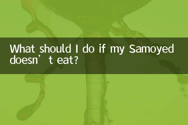 O que devo fazer se meu Samoieda não comer?