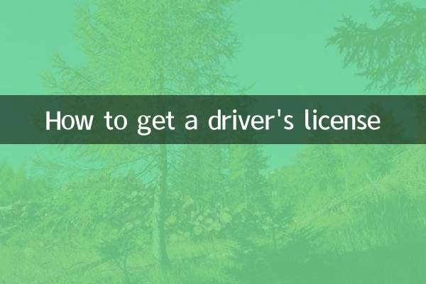 How to get a driver's license