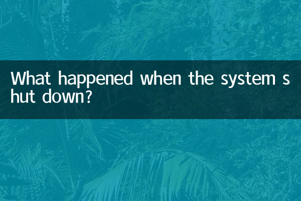 সিস্টেম বন্ধ হলে কি ঘটেছে?