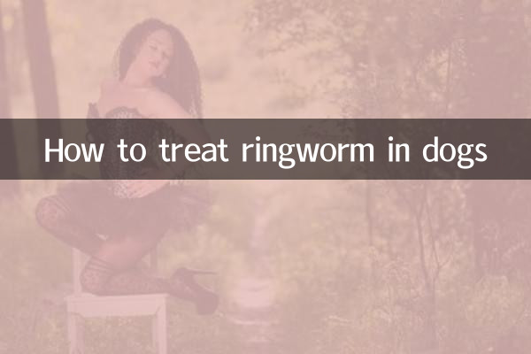 Wie man Ringelflechte bei Hunden behandelt