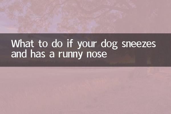 What to do if your dog sneezes and has a runny nose
