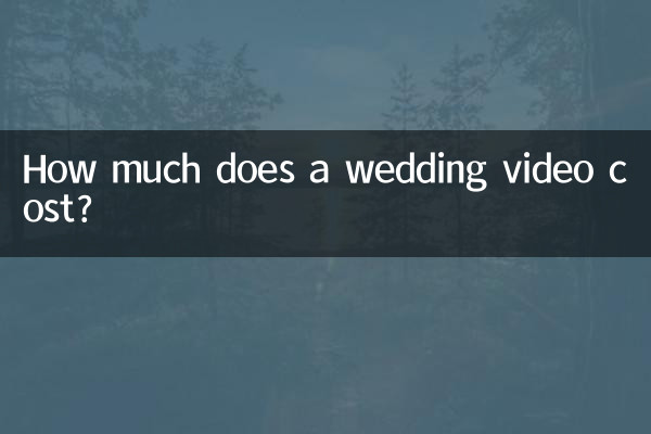 How much does a wedding video cost?