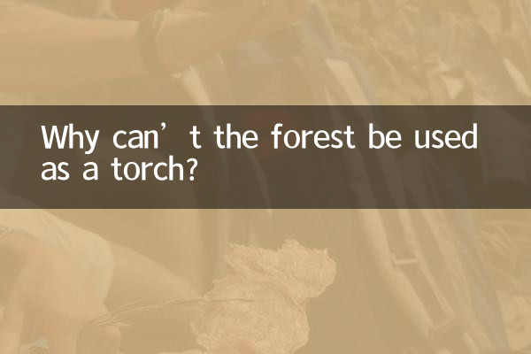 ¿Por qué no se puede utilizar el bosque como antorcha?