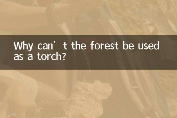 Pourquoi la forêt ne peut-elle pas être utilisée comme une torche ?