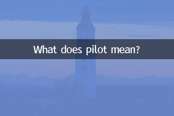 What does pilot mean?
