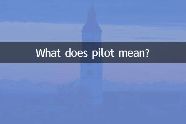 Was bedeutet Pilot?