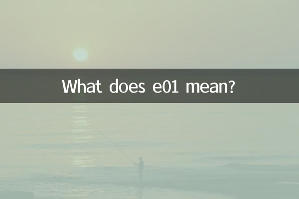 e01ってどういう意味ですか？