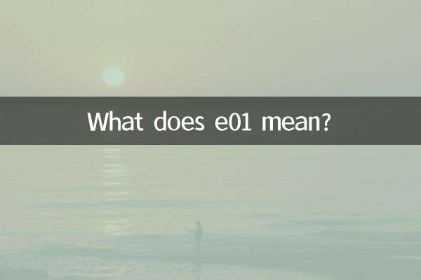 e01 মানে কি?