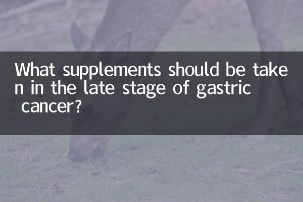 What supplements should be taken in the late stage of gastric cancer?