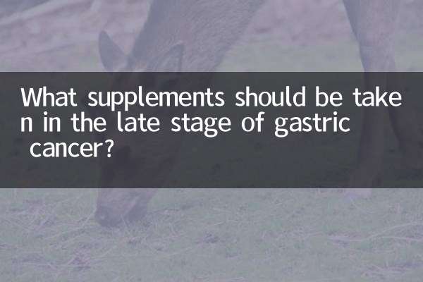 What supplements should be taken in the late stage of gastric cancer?