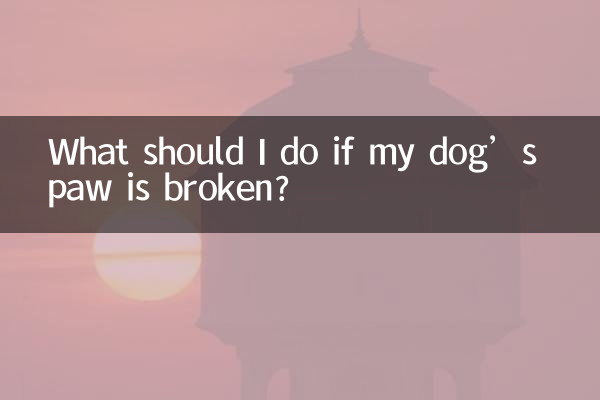 اگر پنجه سگم شکسته باشد چه باید بکنم؟