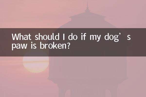 犬の足が折れた場合はどうすればよいですか?