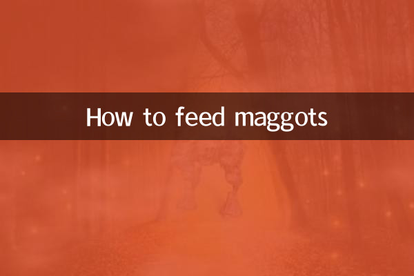 কিভাবে ম্যাগটস খাওয়ানো যায়