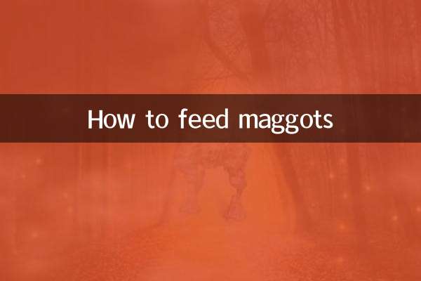 কিভাবে ম্যাগটস খাওয়ানো যায়