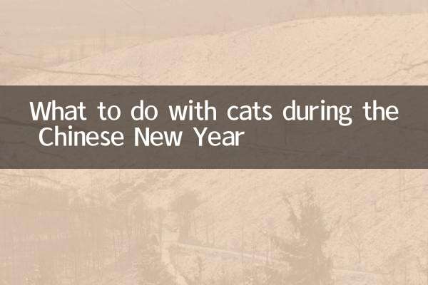 O que fazer com os gatos durante o Ano Novo Chinês