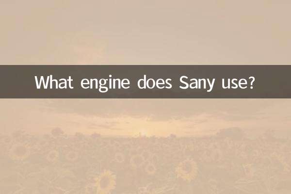 Welche Engine verwendet Sany?