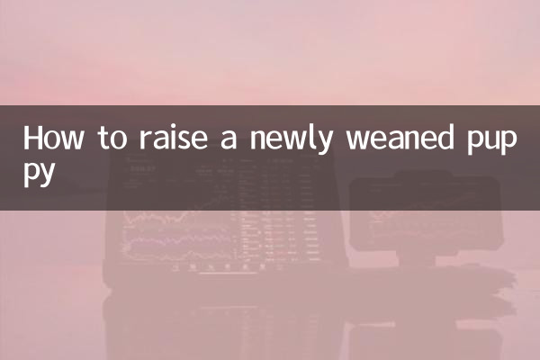 Comment élever un chiot nouvellement sevré