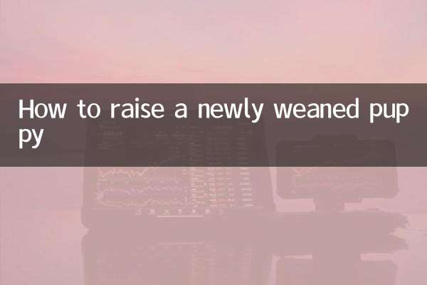 Comment élever un chiot nouvellement sevré