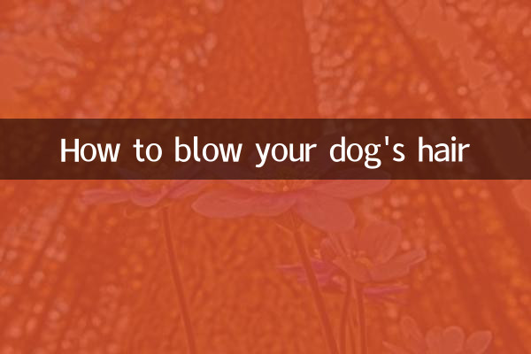 Cómo soplar el pelo de tu perro