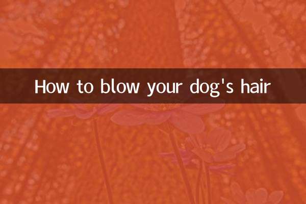 Cómo soplar el pelo de tu perro