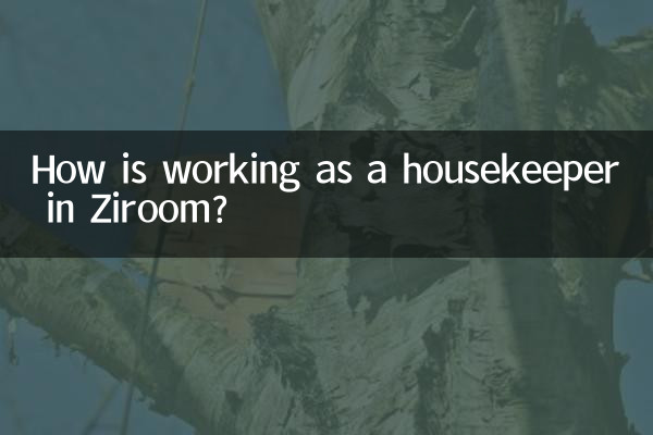 Comment se passe le travail de femme de ménage à Ziroom ?