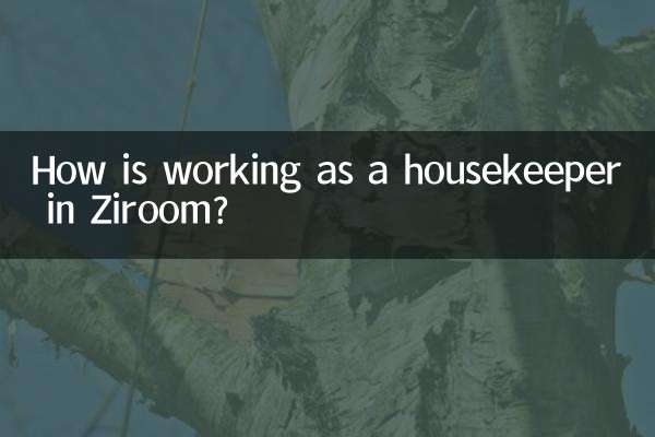 Comment se passe le travail de femme de ménage à Ziroom ?