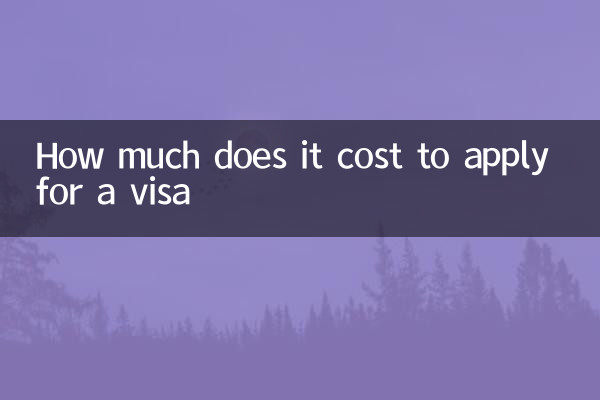 वीजा के लिए आवेदन करने में कितना खर्च होता है