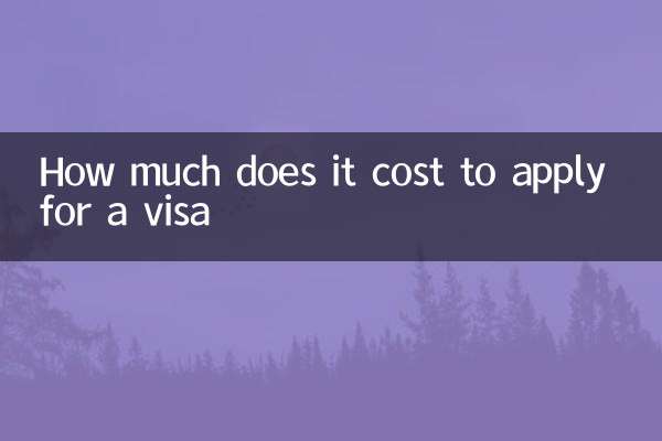 ভিসার জন্য আবেদন করতে কত খরচ হয়