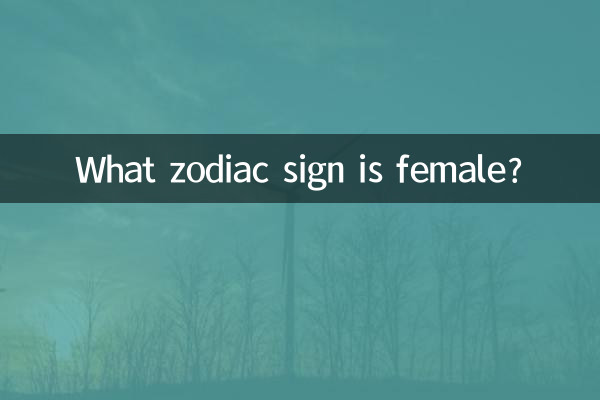 什么生肖屬女肖