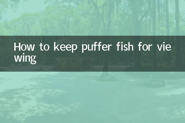 鑑賞用のフグの飼い方