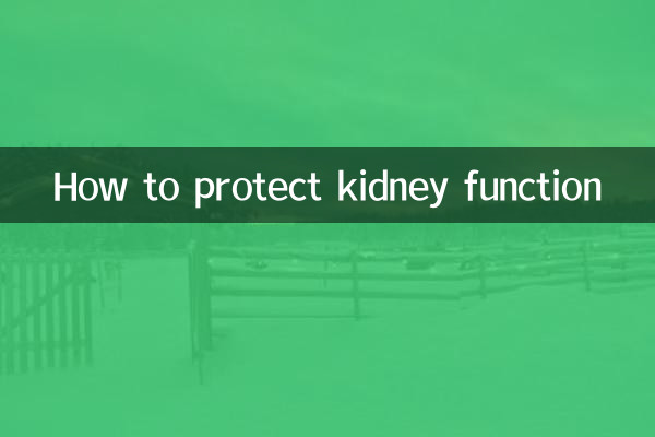 신장 기능을 보호하는 방법